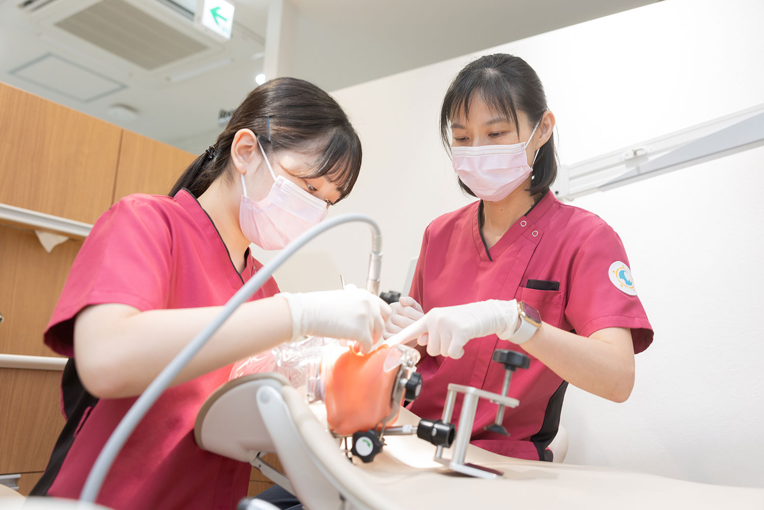 歯科衛生士の教育課程