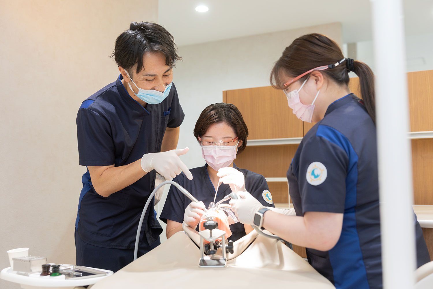 歯科医師の教育課程