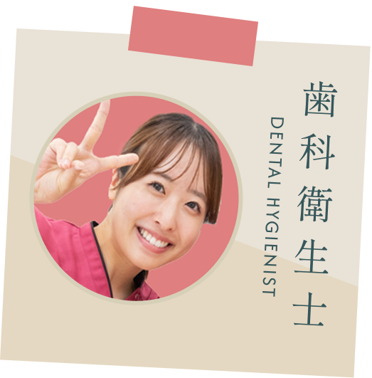 歯科衛生士（入職2年目）